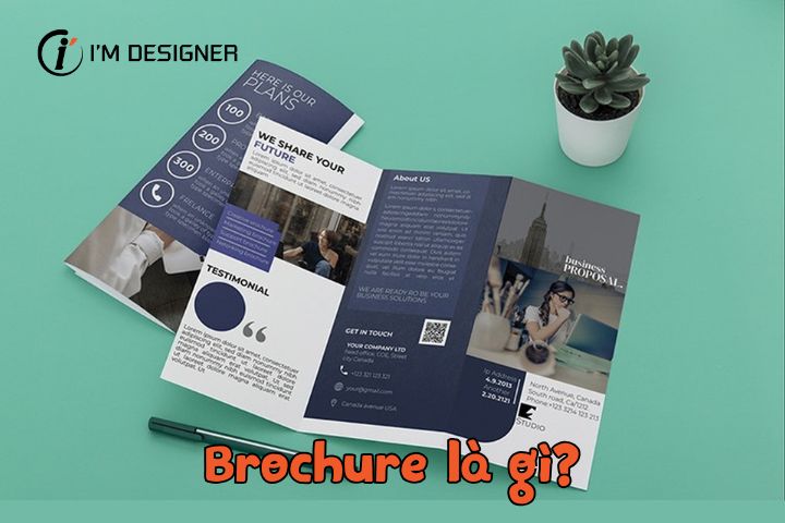 Brochure là gì? 